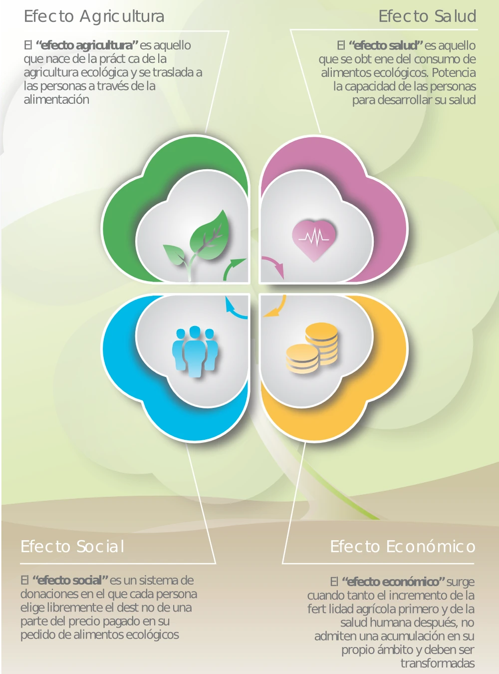 Diagrama de los cuatro efectos interconectados que dan nombre a Efecto Ecológico