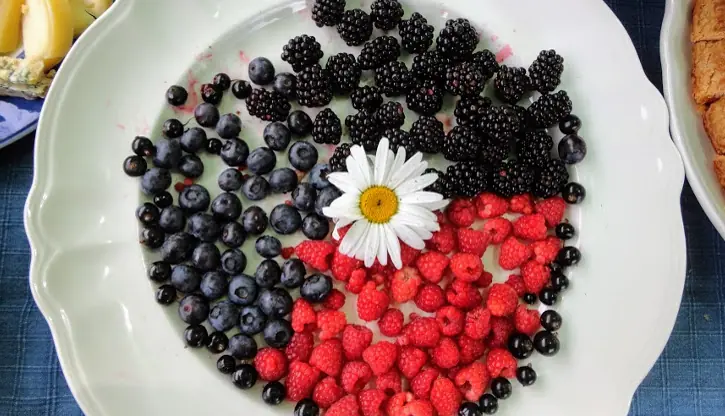 Frutos rojos ecológicos