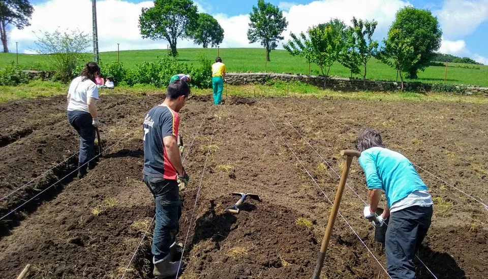 Trabajo en una huerta ecológica de Cantabria